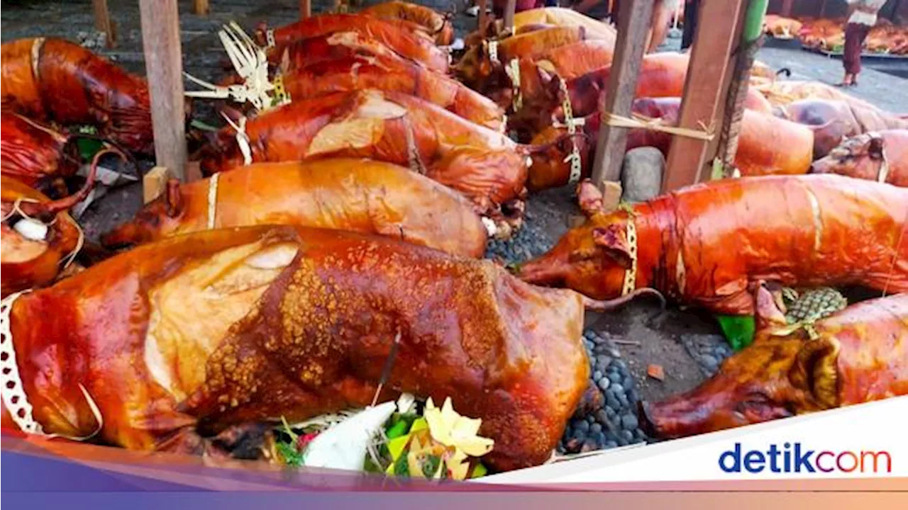 Kenapa Babi Haram Dimakan Muslim? Ini Penjelasan Menurut Syariat Islam