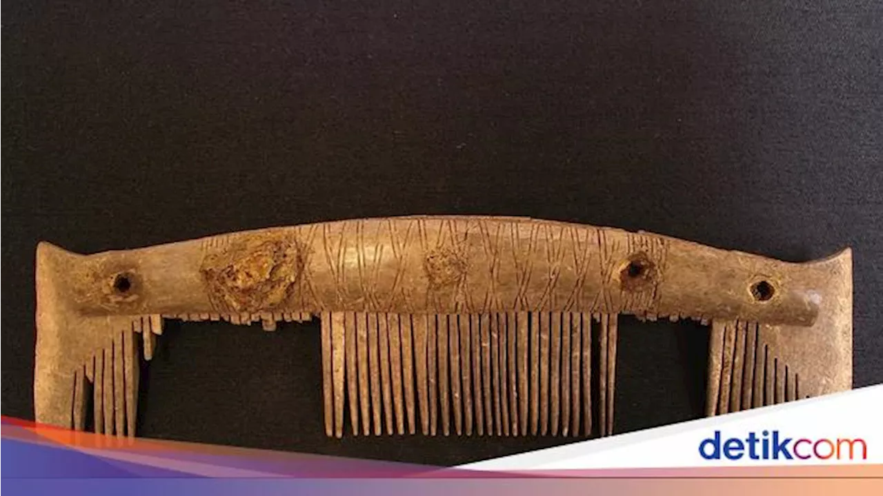 Peneliti Ungkap Peninggalan Orang Viking Abad Pertengahan, Begini Isinya