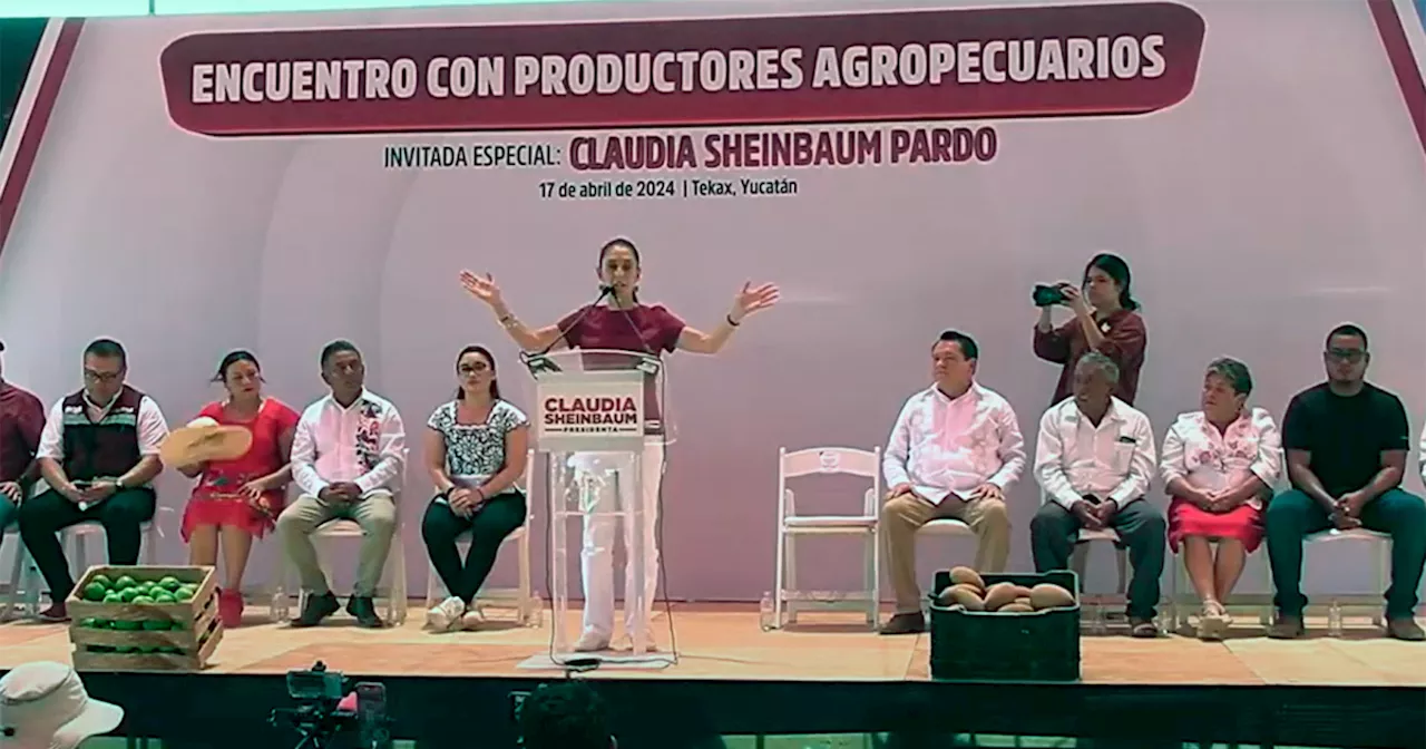 Sheinbaum propone solicitar a Conagua y CFE que se regresen los subsidios a pozos agrícolas