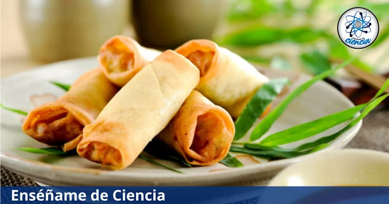 Aprende a preparar unos rollitos de primavera caseros: una comida sabrosa y muy fácil de hacer