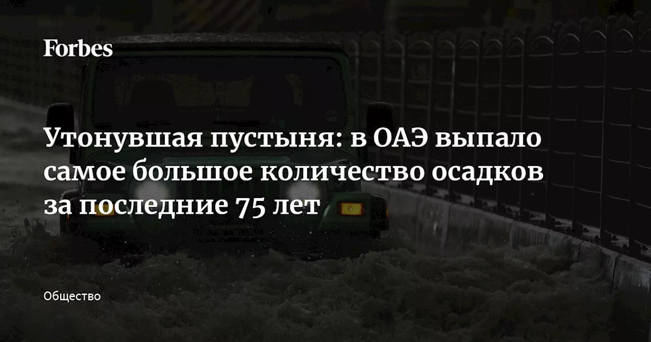 Утонувшая пустыня: в ОАЭ выпало самое большое количество осадков за последние 75 лет