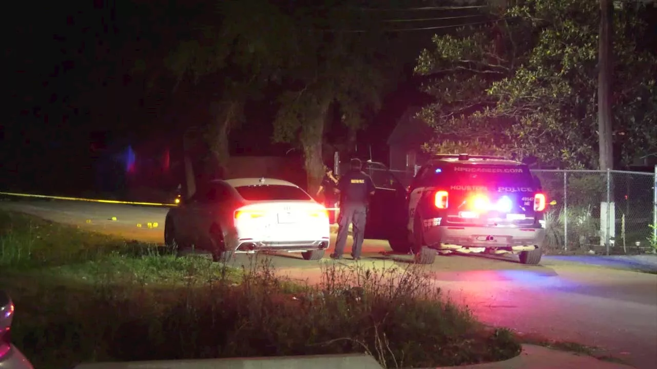 Houston man shot after fight at neighbor's house on Madera Road