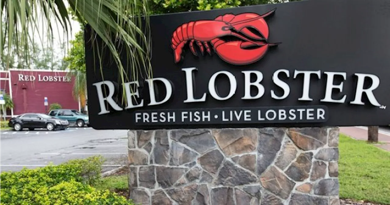 Red Lobster in more hot water as reports of possible bankruptcy emerge