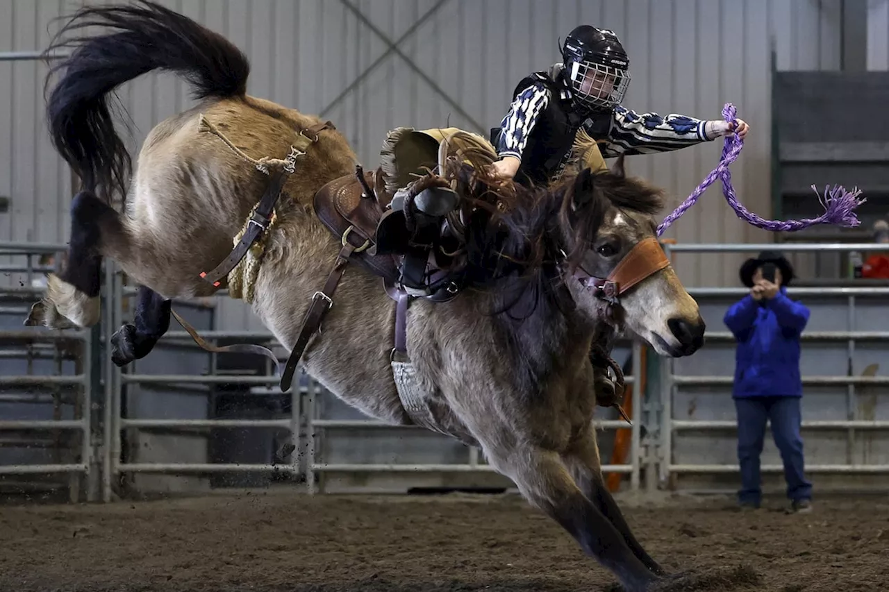 At Alberta’s all-female ranch bronc school, the buck starts here