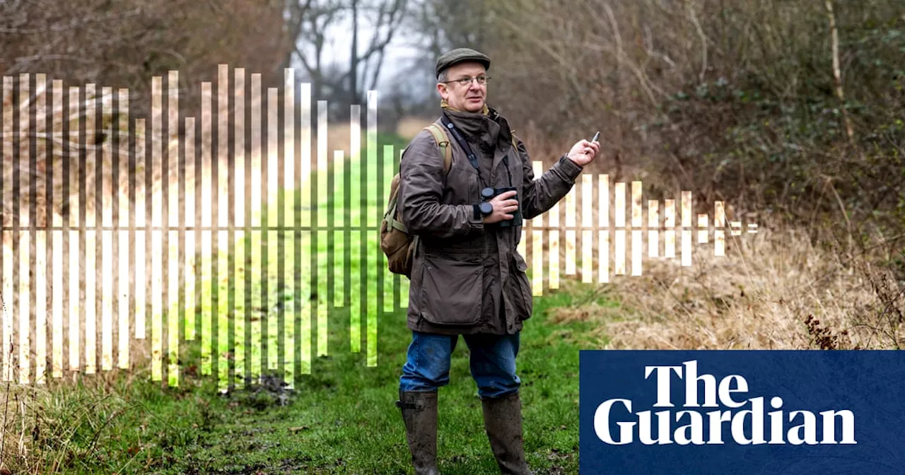 ‘These birds are telling us something serious is happening’: the fading song of the marsh tit