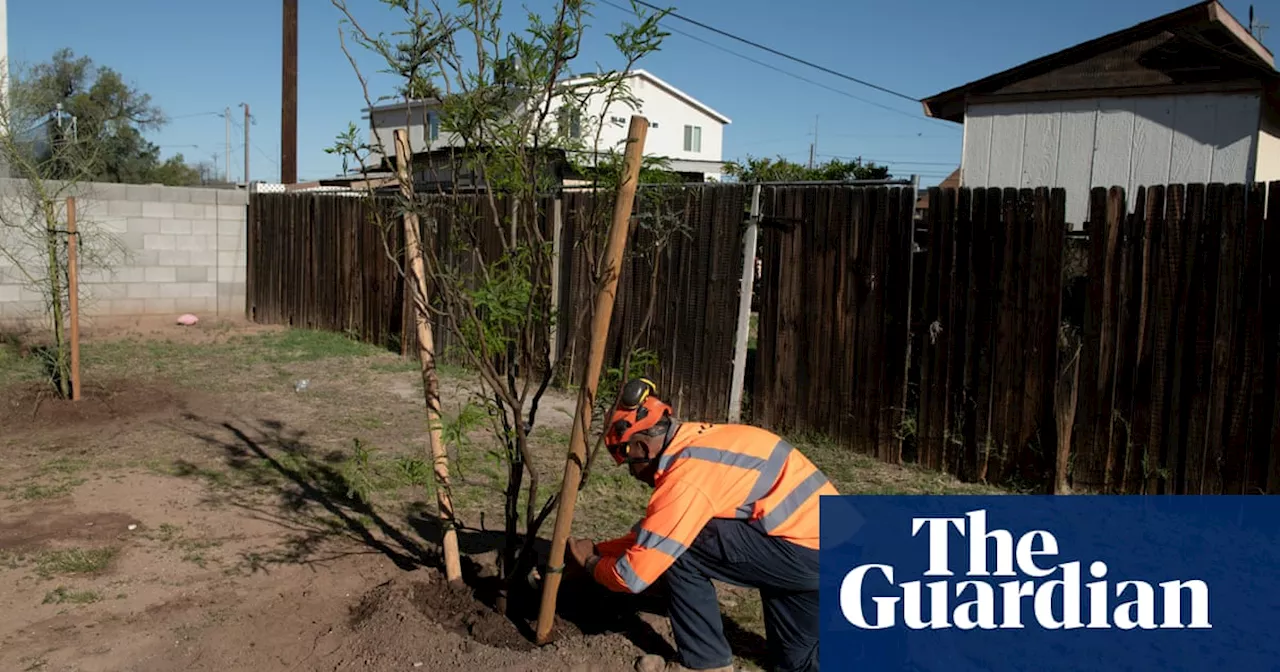 ‘We need more shade’: how US’s hottest city is cooling its least protected community