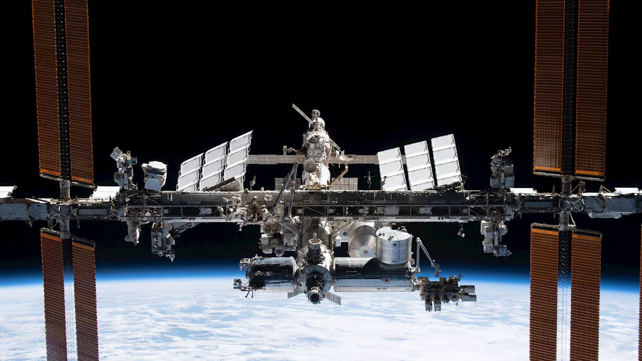 Space environment drives mutation in E. bugandensis bacteria found on ISS