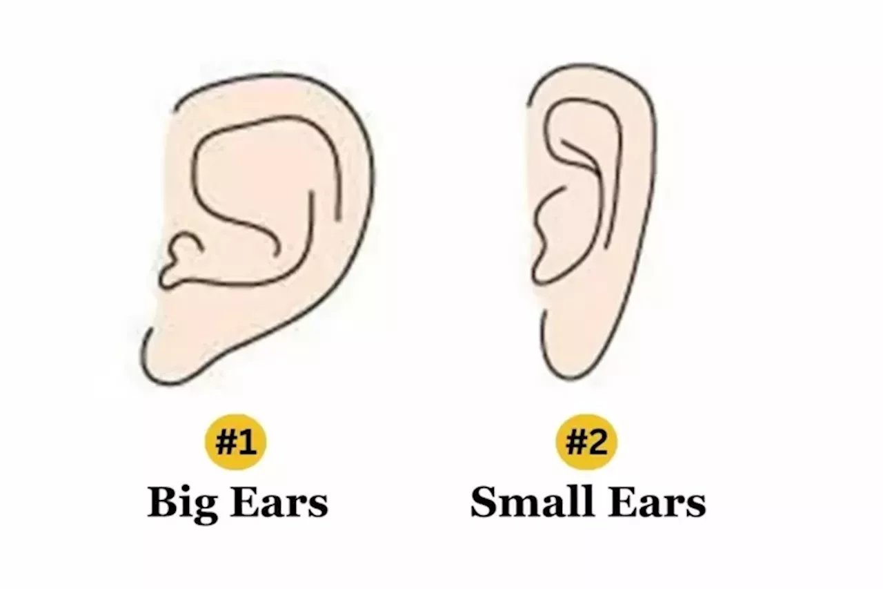 Tes Kepribadian: Bongkar Sifat Tersembunyi Seseorang Lewat Bentuk Telinga, Nomor 2 Dikenal Pendiam