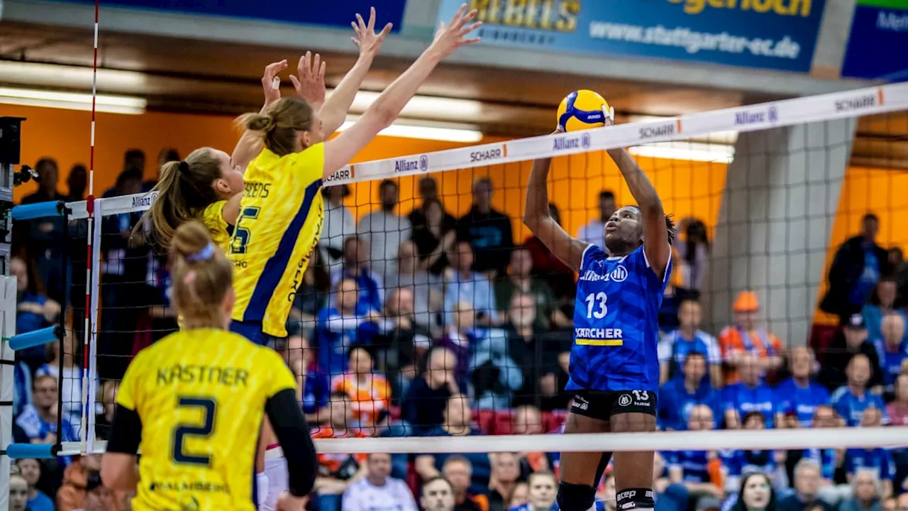 Stuttgart gleicht im Volleyball-Finale aus