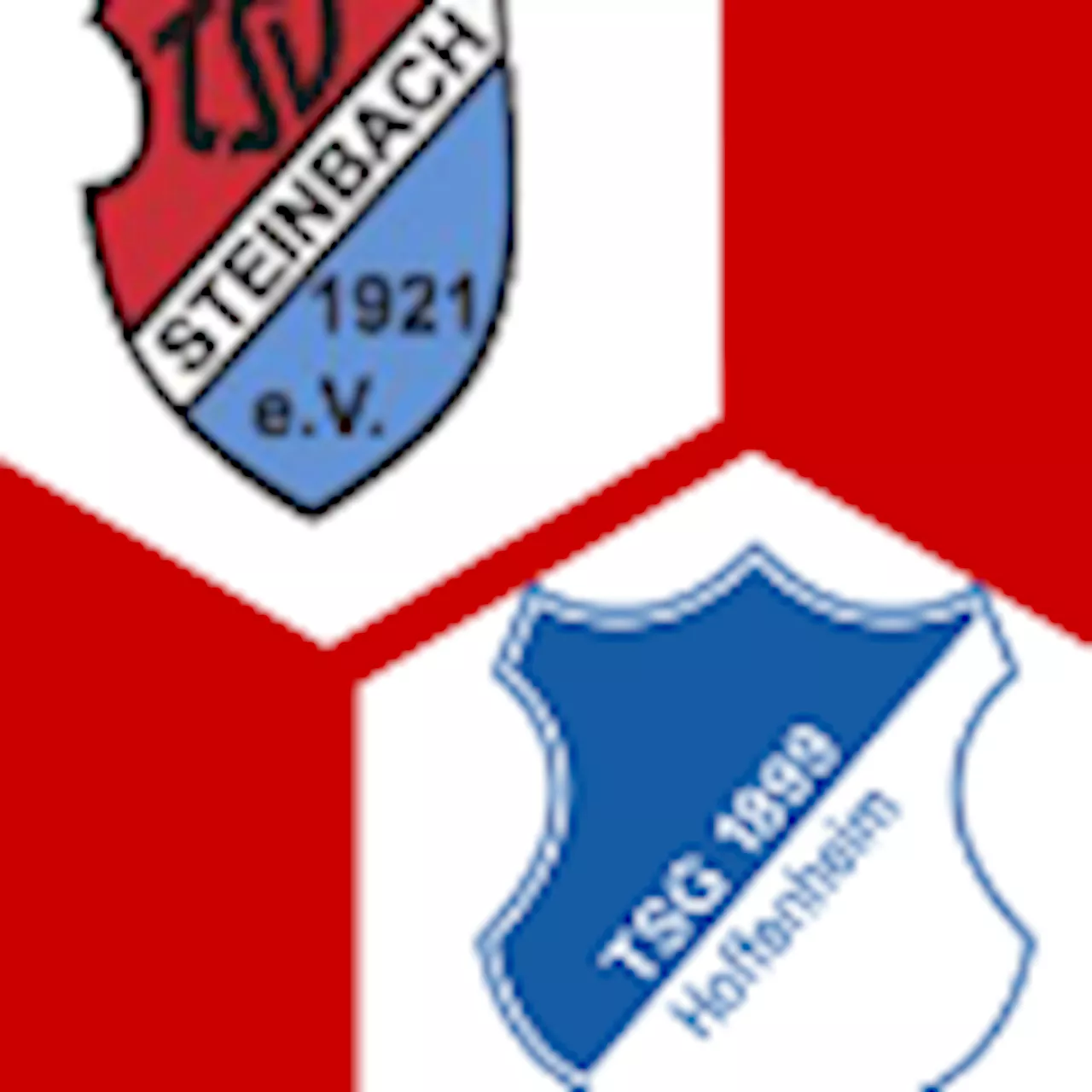 TSG Hoffenheim II 0:0 | 25. Spieltag | Regionalliga Südwest 2023/24