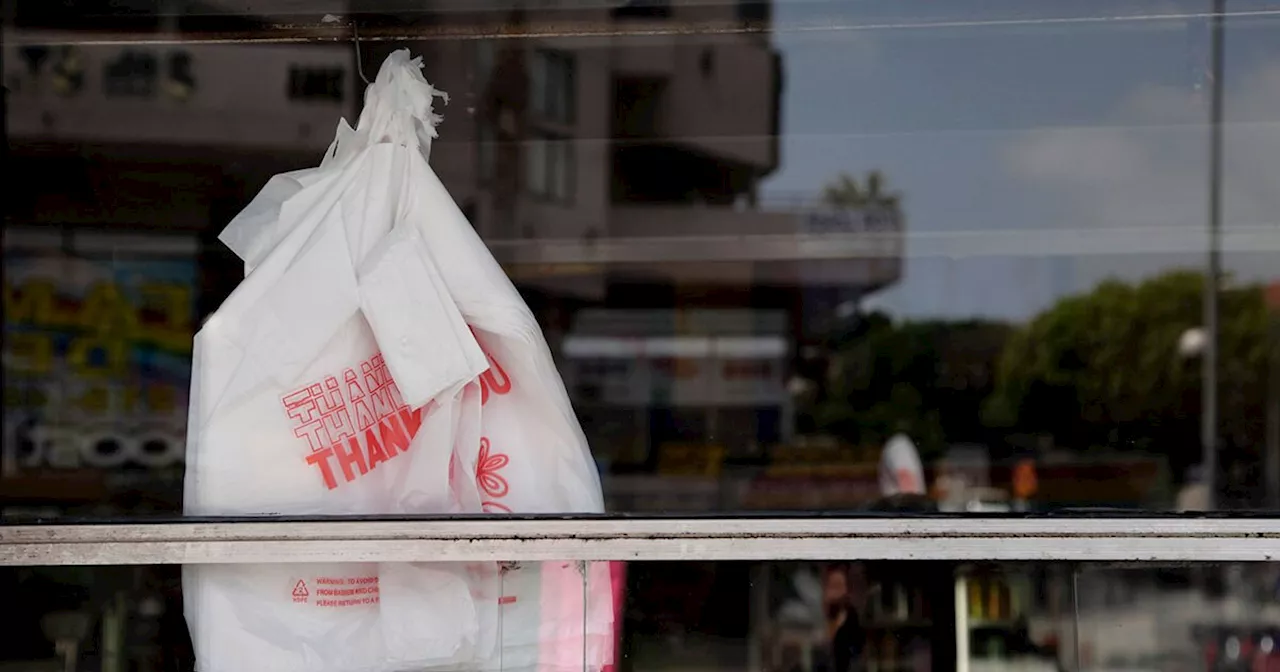 Sen. Blakespear's bill to stop plastic bags in grocery stores passes committee