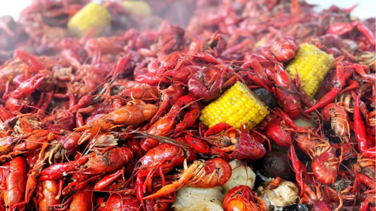 Celebrate National Crawfish Day with deals across Houston