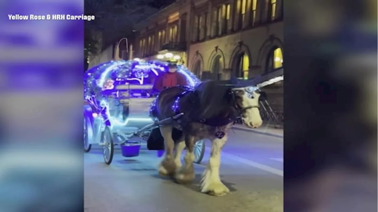 Carriage operators say San Antonio needs to hold its horses on proposed ban