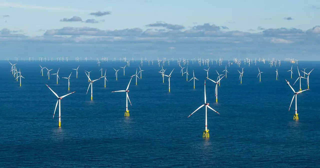 Ausbau-Rekord bei der Windkraft: Europa hinkt hinterher