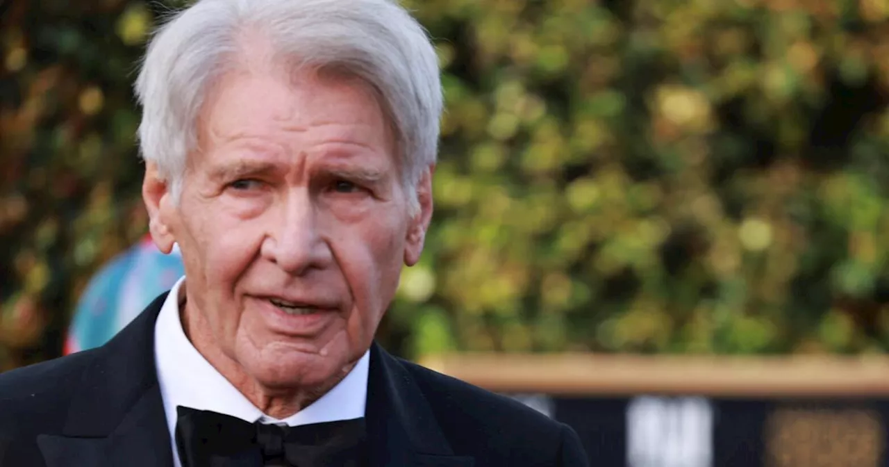 Harrison Ford: Wie ein feuchtfröhliches Essen mit Jimmy Buffett zu einem Piercing führte