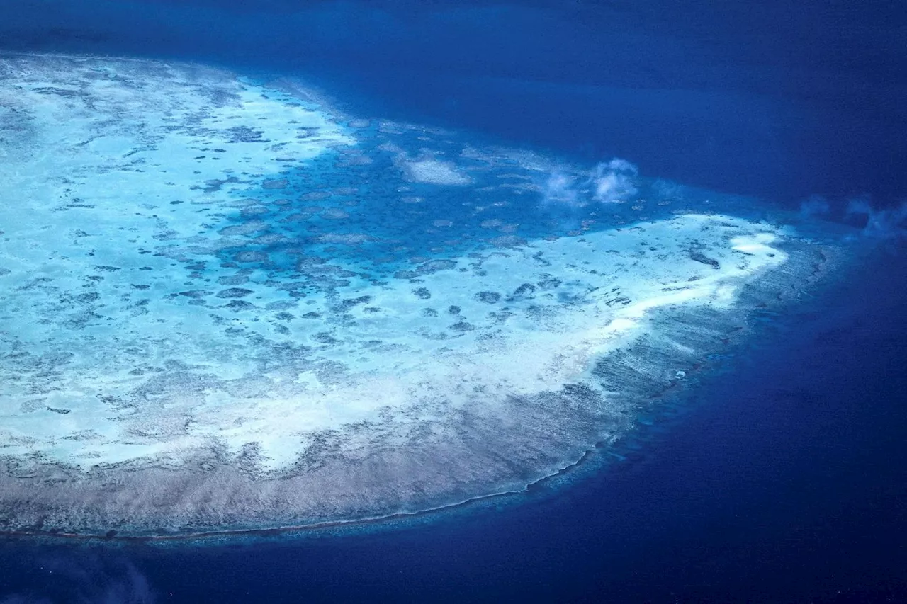 Australie: la Grande barrière de corail frappée par le pire épisode de blanchissement jamais observé