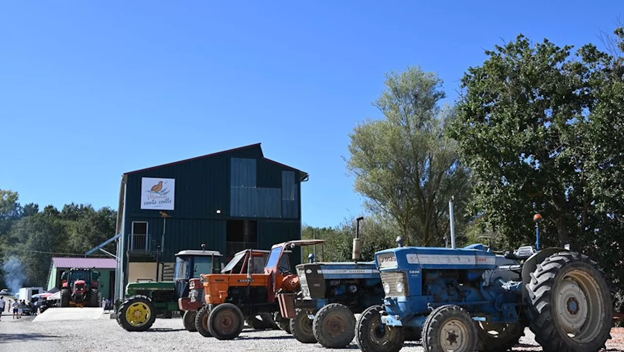 Auragne. Marché bio et local au Moulin Cante-Caille