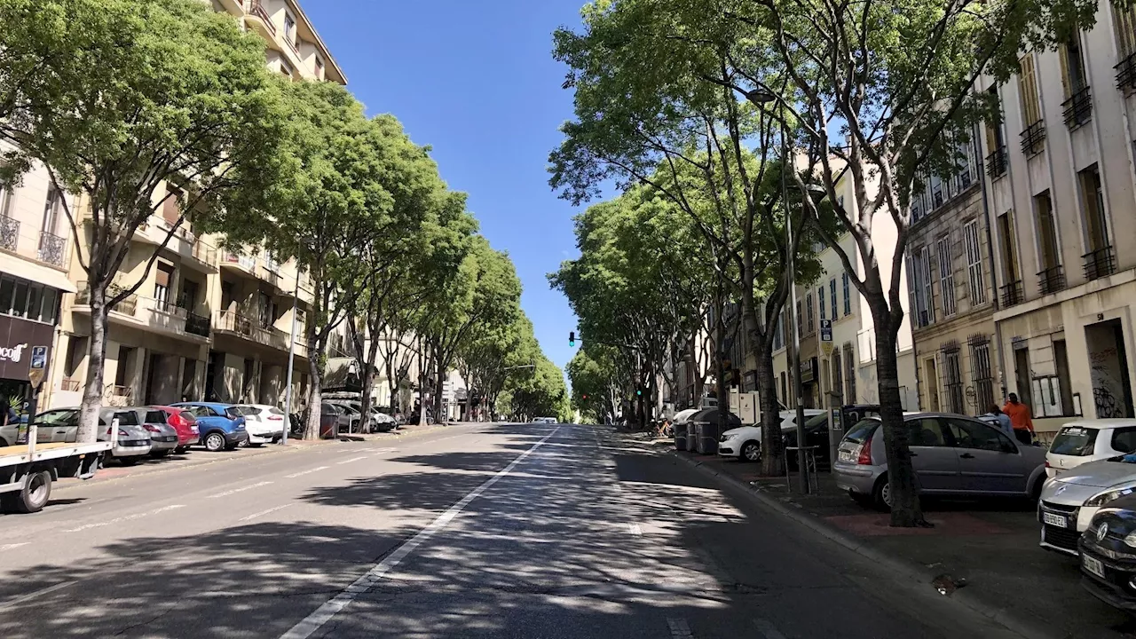 Marseille : l'individu suspecté d’avoir percuté un livreur, boulevard Baille, a été interpellé