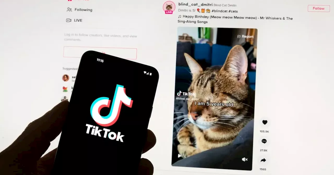 Unión Europea cuestiona a TikTok por nueva app que paga a la gente por ver videos