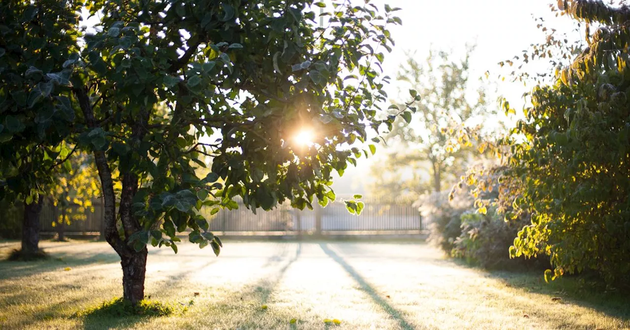 Met Office weather warning issued to all gardeners across the UK