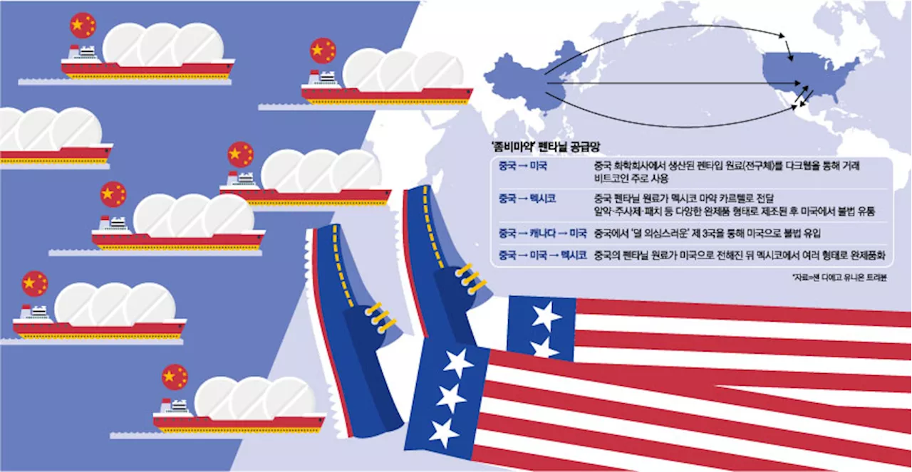 “눈 뒤집힌 펜타닐 중독자들 좀비처럼 활개”…한국도 안전지대 아니다