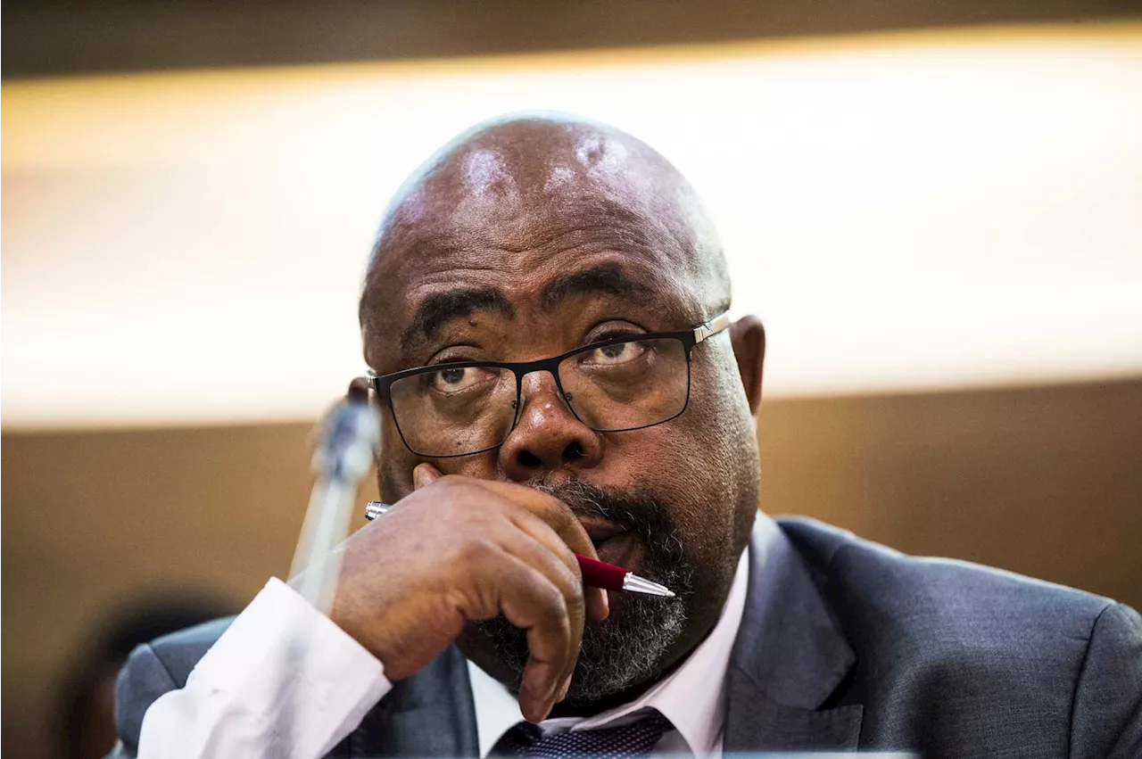 It's not ANC electioneering, insists Nxesi at launch of two million jobs programme