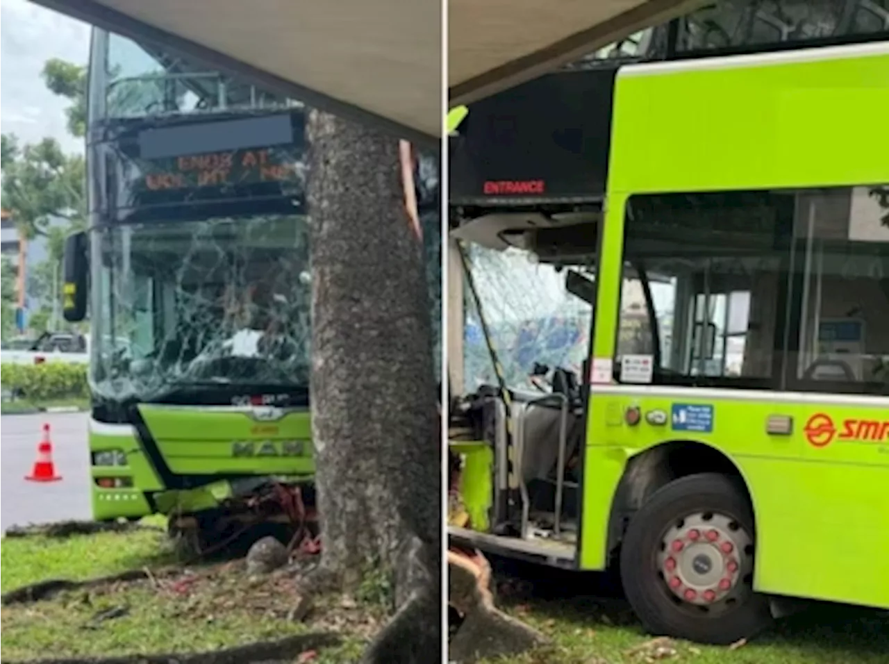 SMRT bus driver in Singapore, 58, dies after crashing into tree in Woodlands; no commuters on board