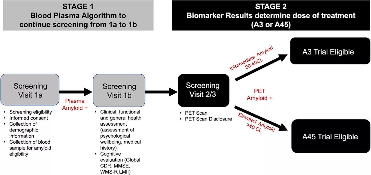 Study links lack of diversity in Alzheimer's disease clinical trials to differences in amyloid levels