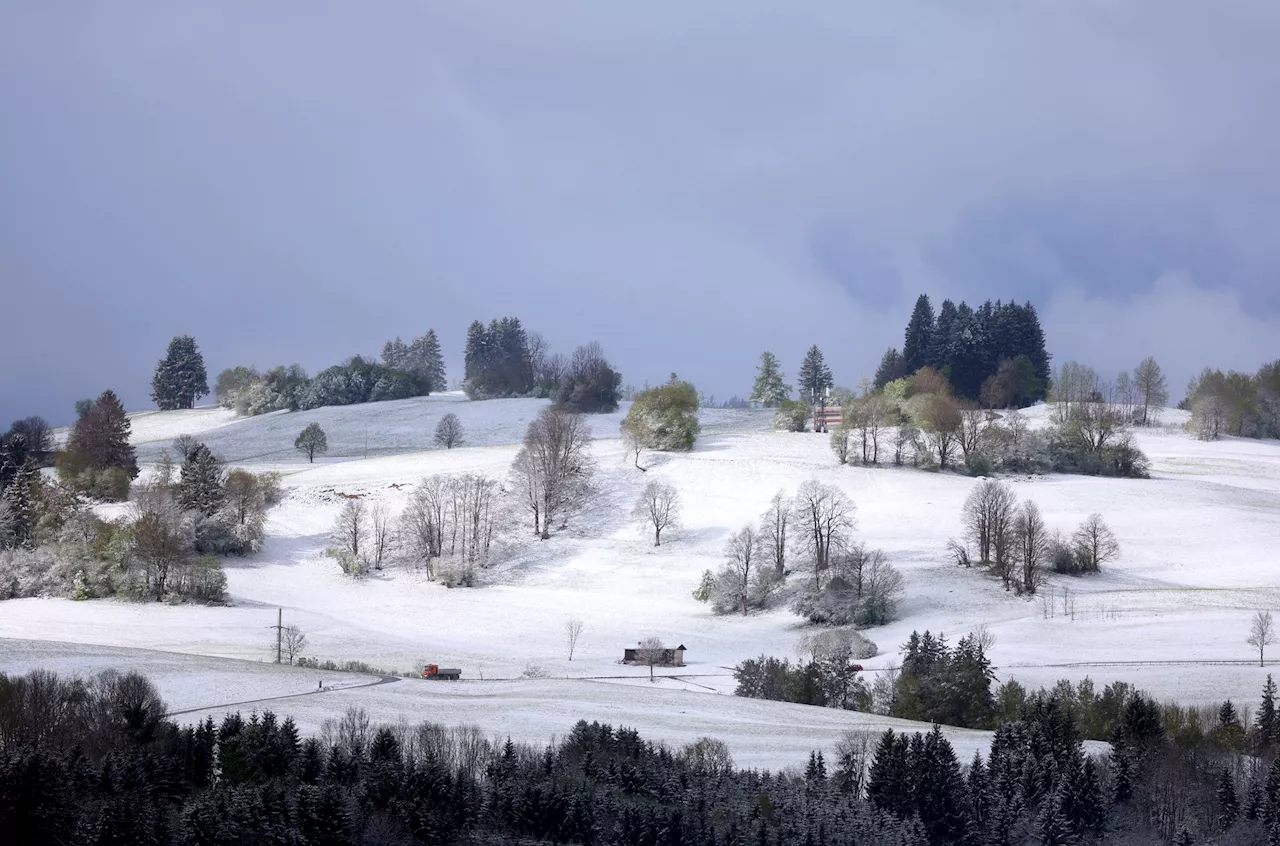 Nasskaltes Wetter: Regen, Schauer und im Bergland Schnee