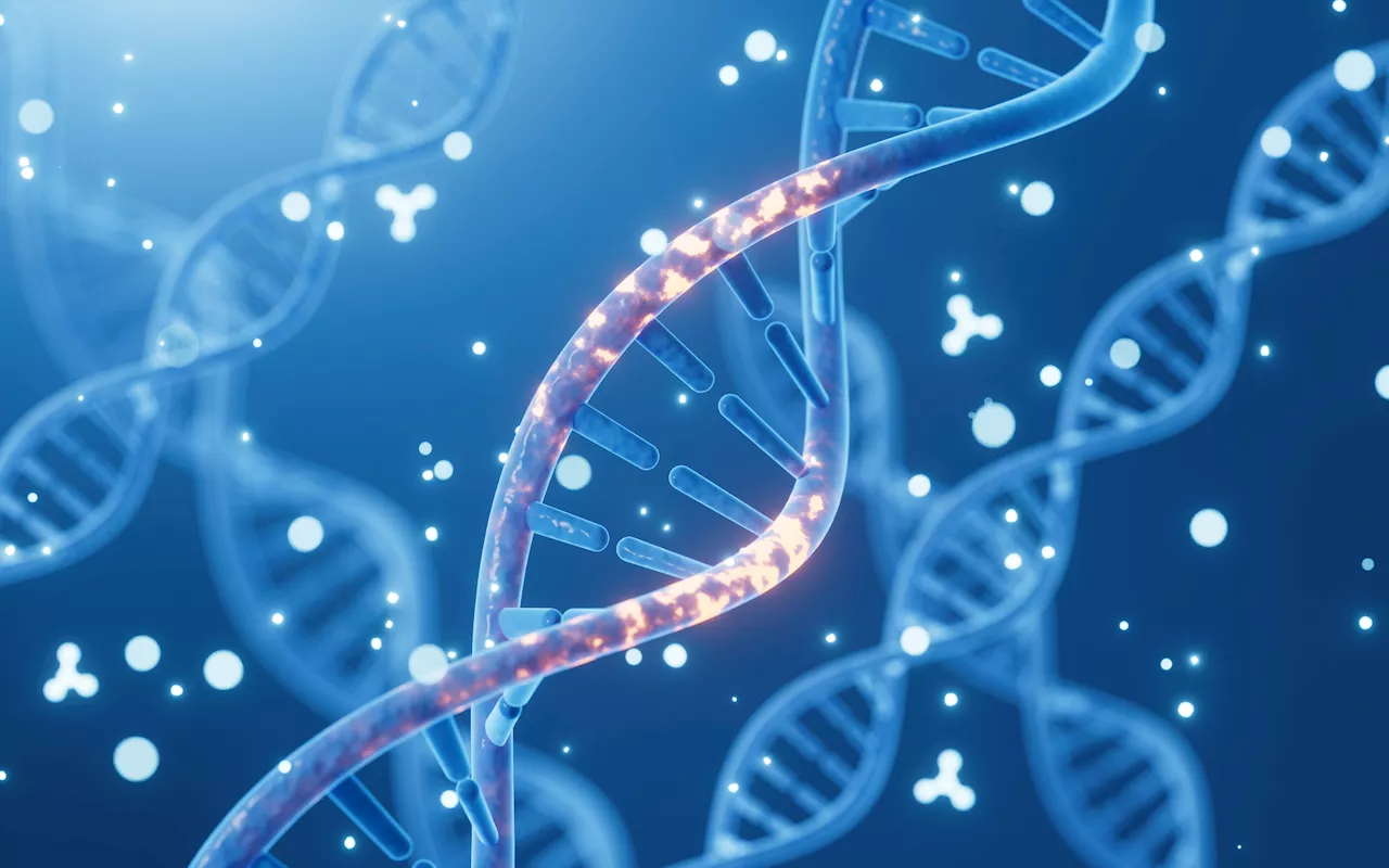 Neuroscientists Discover Shapeshifting DNA Controls Memory Formation