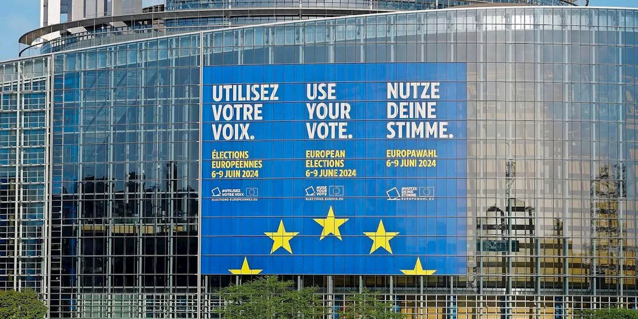 Frieden und Demokratie sind Deutschen bei Europawahl wichtig