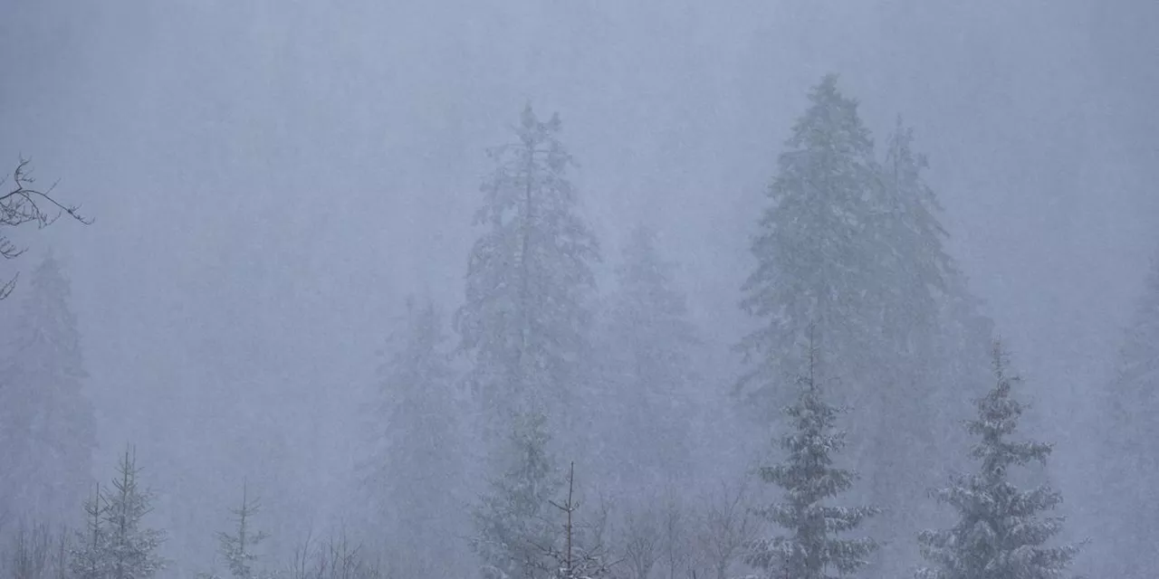 Winter feiert nasskaltes Comeback: Regen, Graupel, Glätte und Schnee im Anmarsch