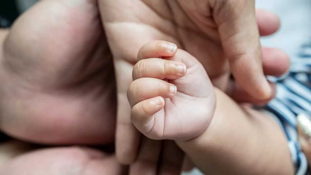 Pluriparentalidad en Cipolletti: reconocer la paternidad más allá del vínculo biológico