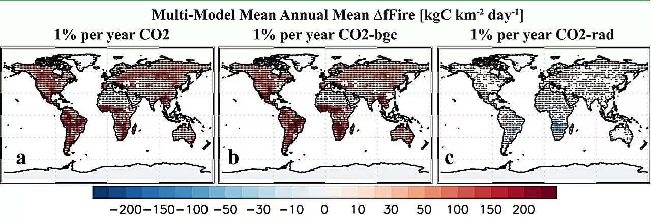 CO&#8322; worsens wildfires by helping plants grow, model experiments show