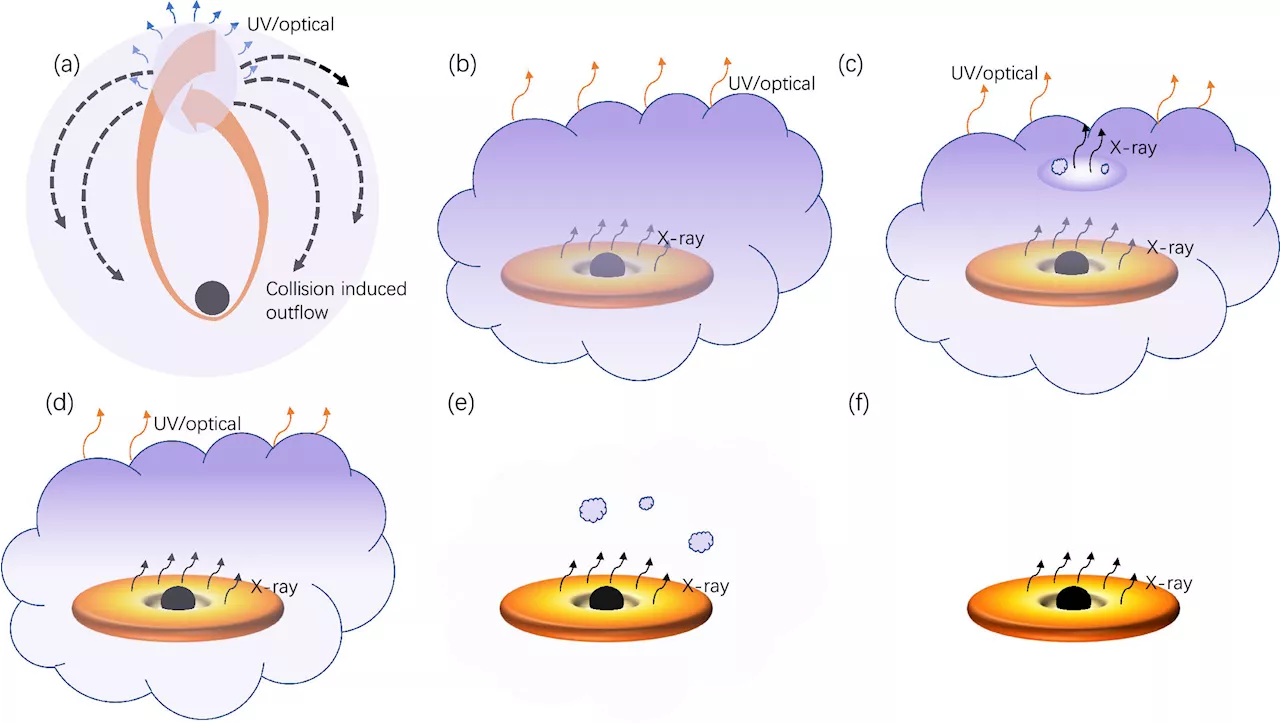 Researchers unveil unique tidal disruption event with pronounced early optical bump