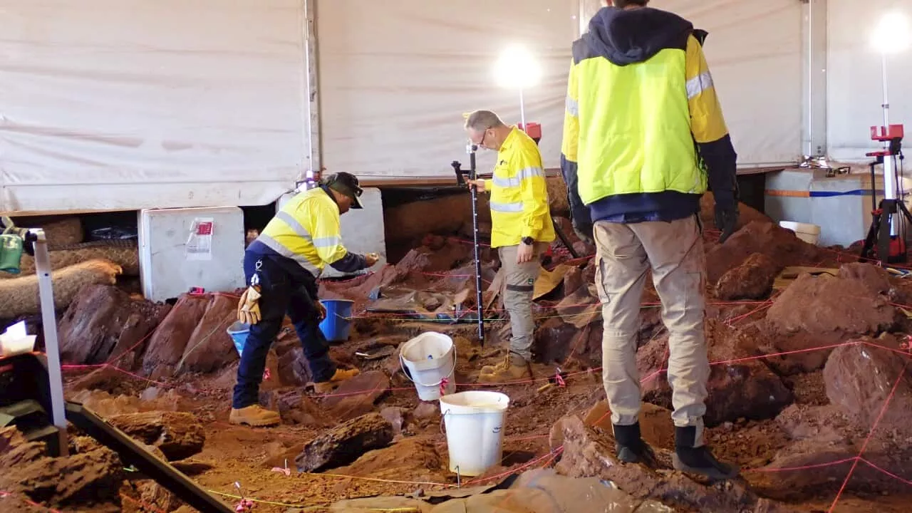 Tasmanian Devil tooth among significant finds at Juukan cave site