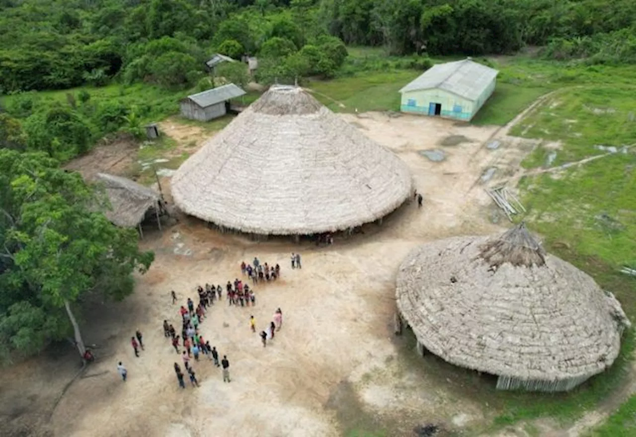 Desmatamento em Terras Indígenas da Amazônia é o menor em 6 anos