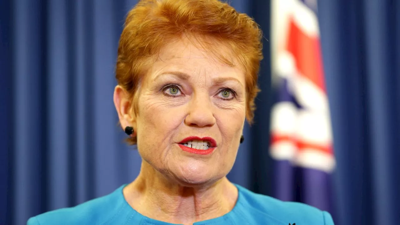 Pauline Hanson demands Labor crackdown on importing radical Islamism