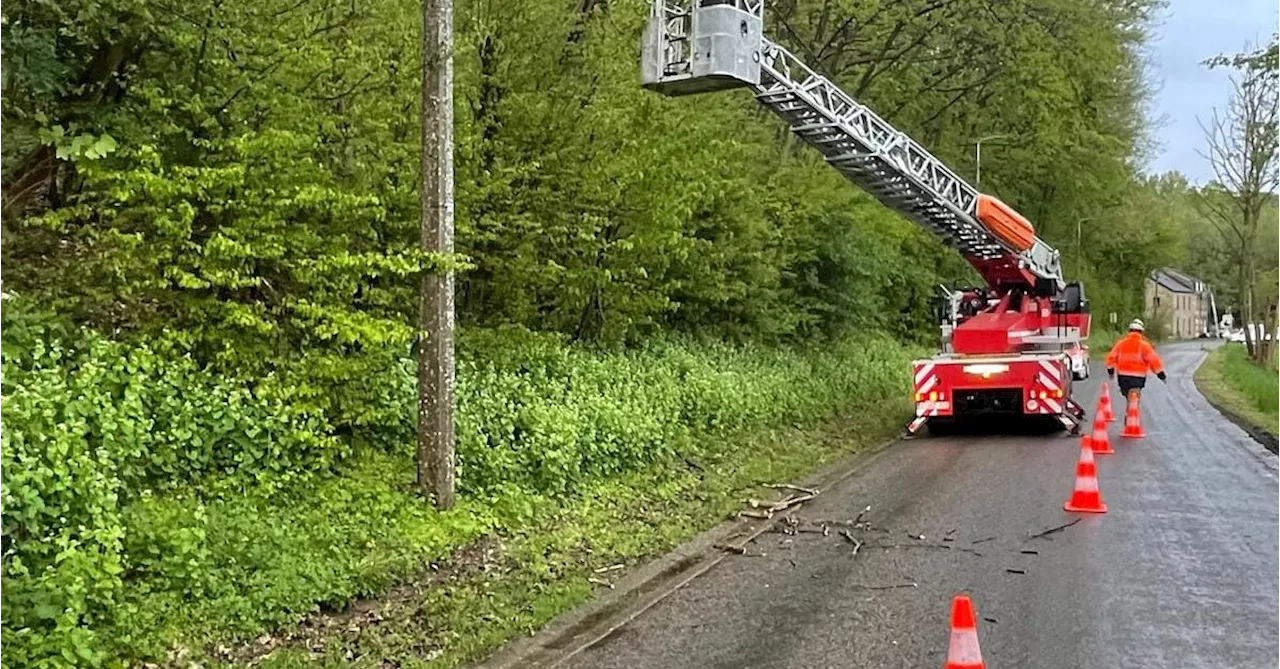 Un arbre risquait de tomber sur la route à Fallais: les pompiers envoyés sur place