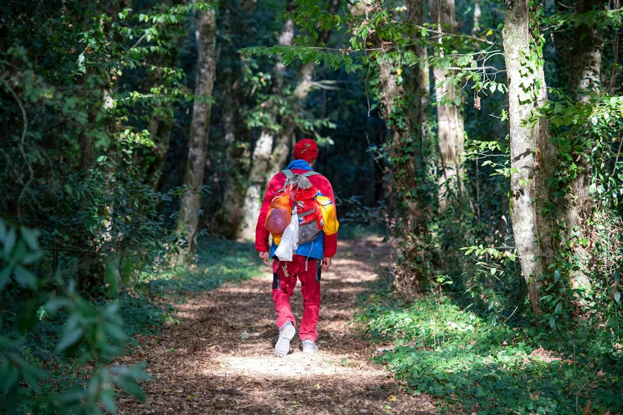 Gironde : un spectacle déambulatoire est proposé à la plaine de la Garosse à Saint-Sauveur