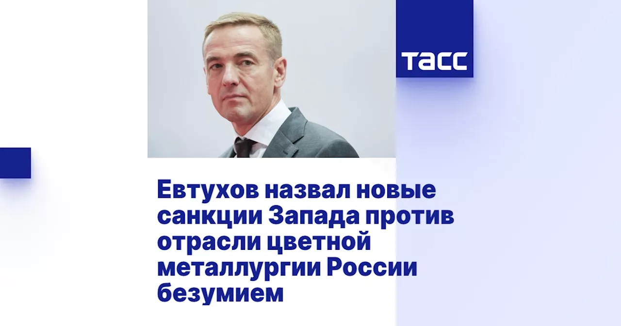 Евтухов назвал новые санкции Запада против отрасли цветной металлургии России безумием