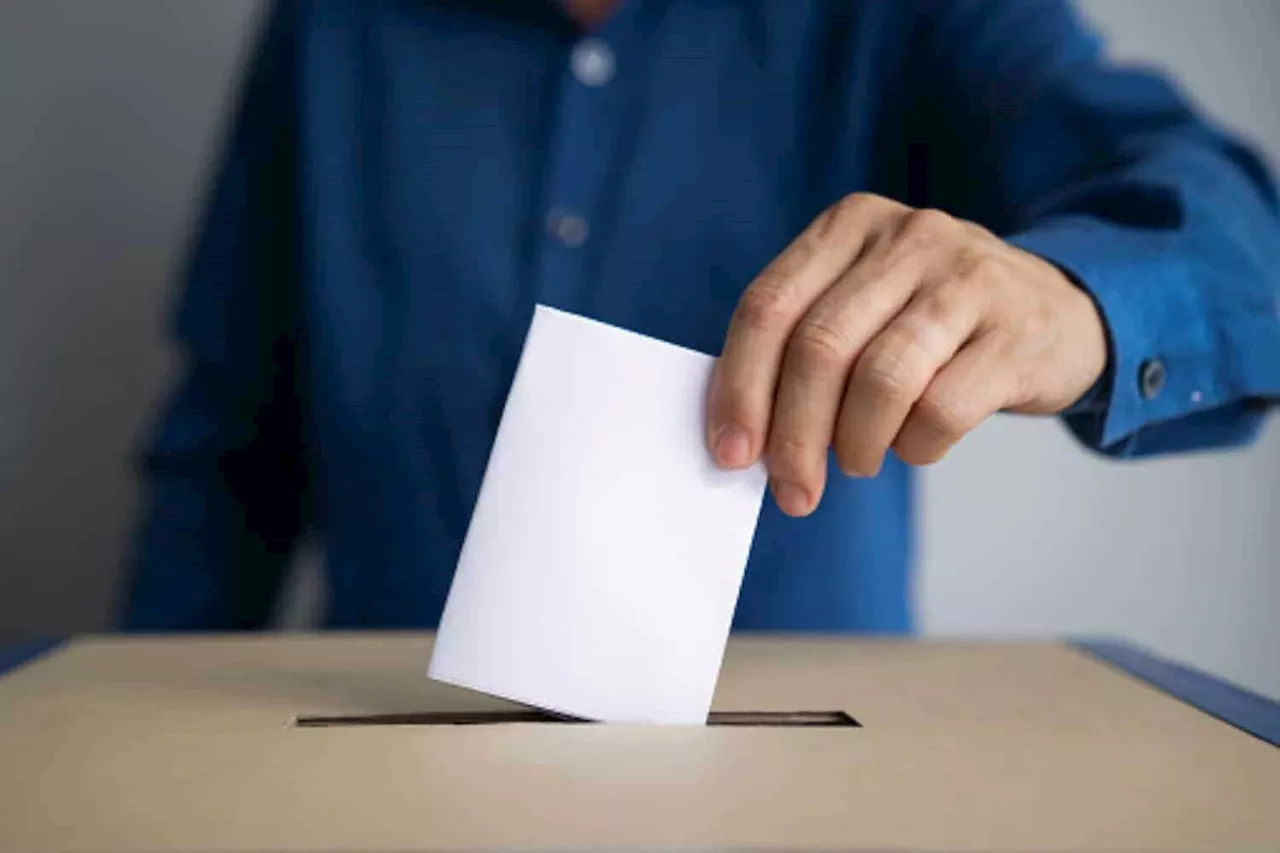 IEC’s decision on Zuma creates an impression contrary to the reality