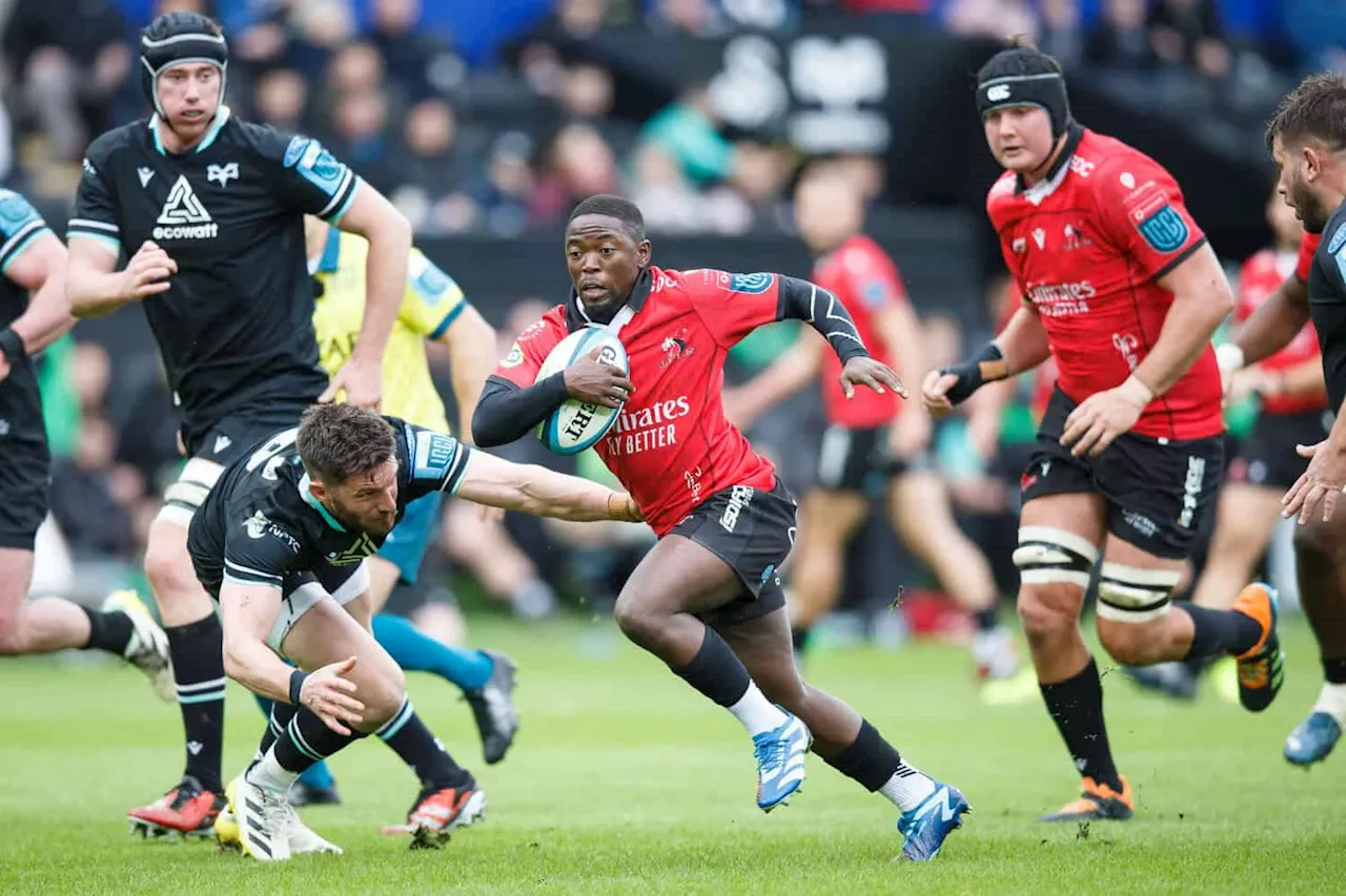 Lions hit the reset button ahead of blockbuster Leinster challenge