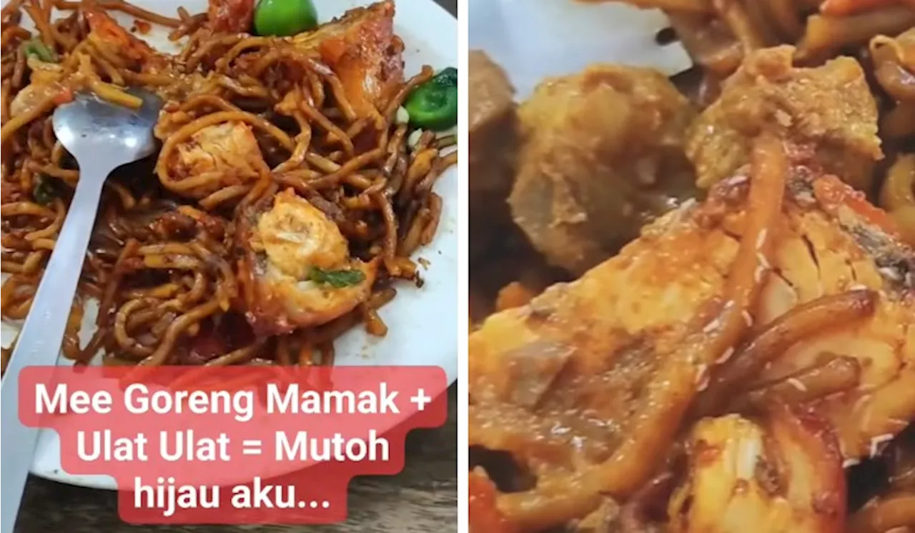 [Watch] Maggot Discovery In Mee Goreng Mamak Raises Food Safety Alarms