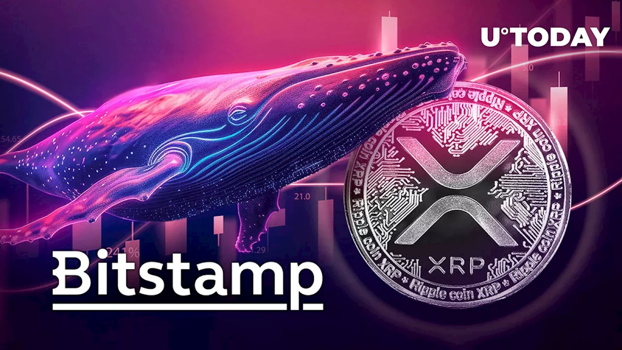 Mysterious Whale Sends Millions of XRP to Bitstamp, Stirring XRP Army