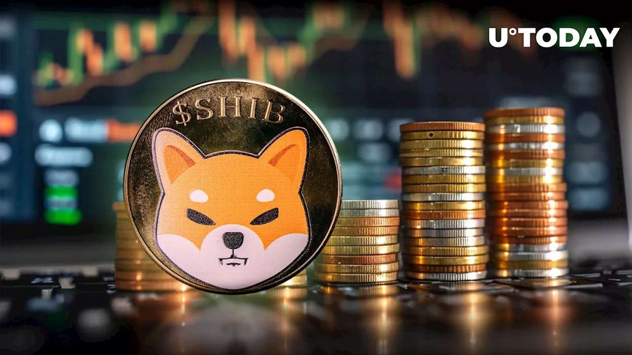 Shiba Inu (SHIB) in Recovery Mode as Open Interest Surges