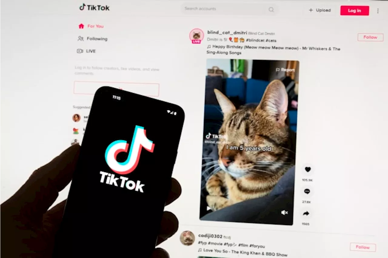 European Union questions TikTok on new app that pays users for watching