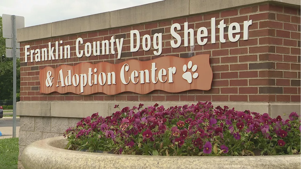 Franklin County Dog Shelter is at capacity, adoption prices reduced