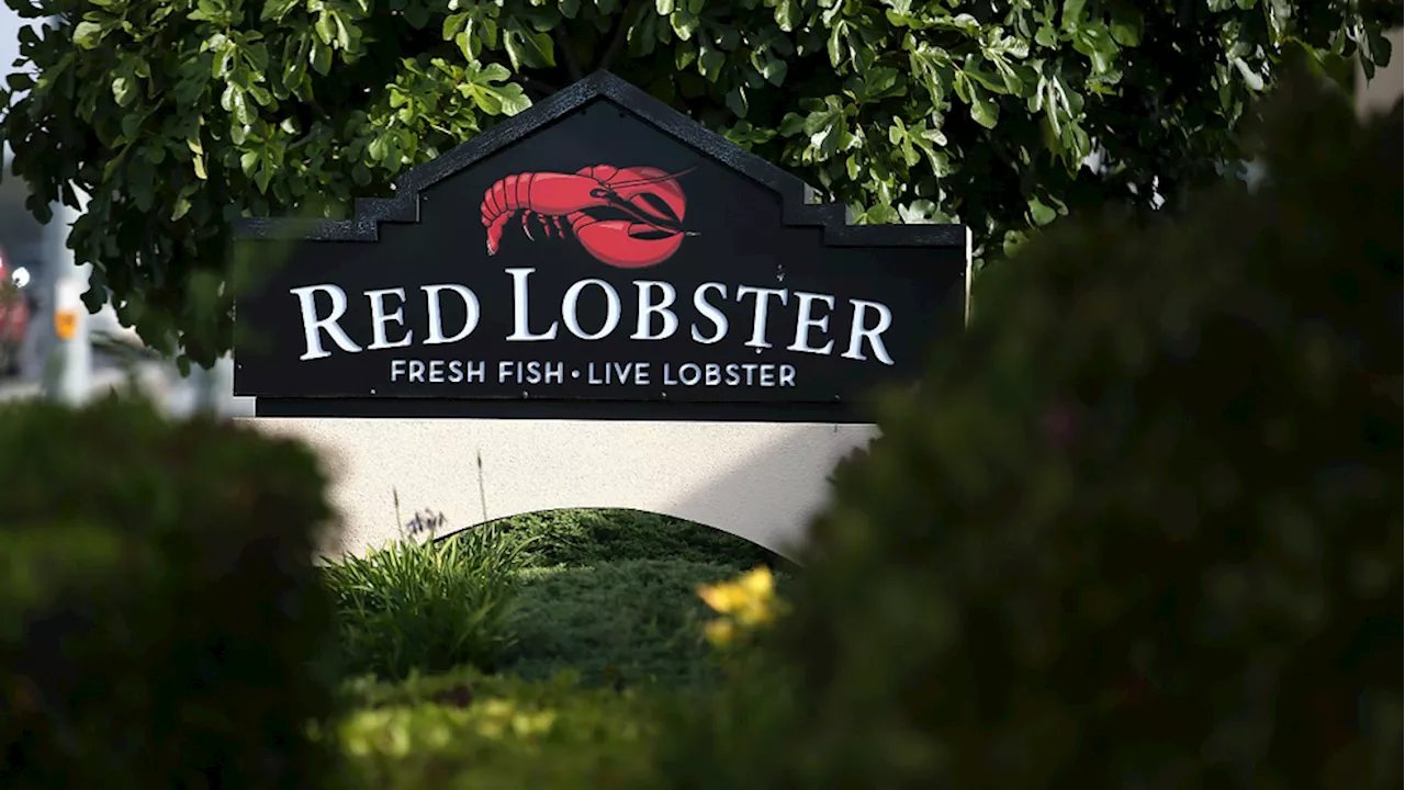 Report: Red Lobster preparing to file for bankruptcy