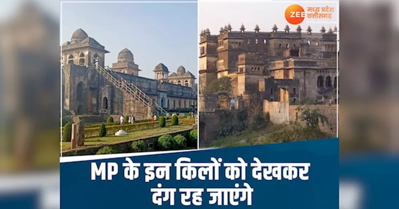 MP Tourism: मध्य प्रदेश घूमने का प्लान बना रहे हैं? एक बार जरूर करें इन किलों का दीदार